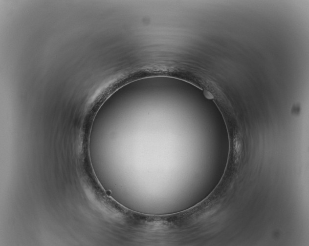 X0000112820396200908281535