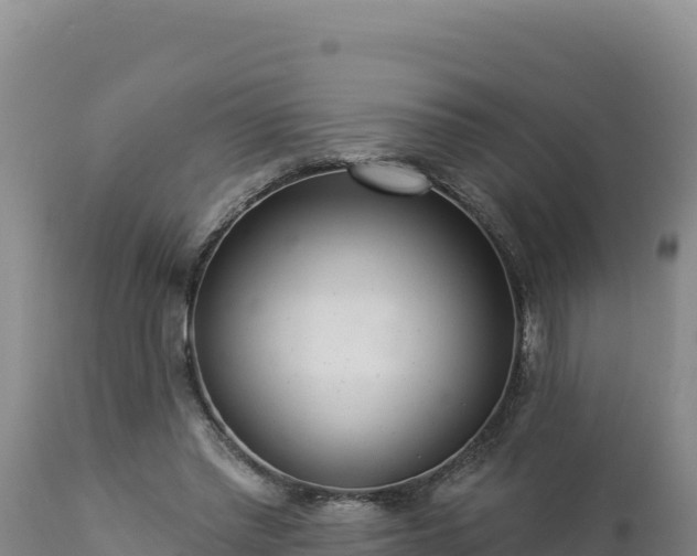 X0000112820397200908281535