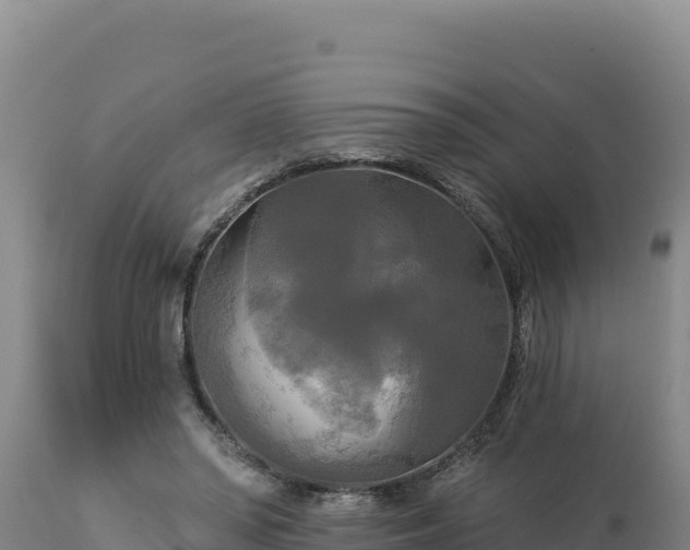 X0000112820398200908281535