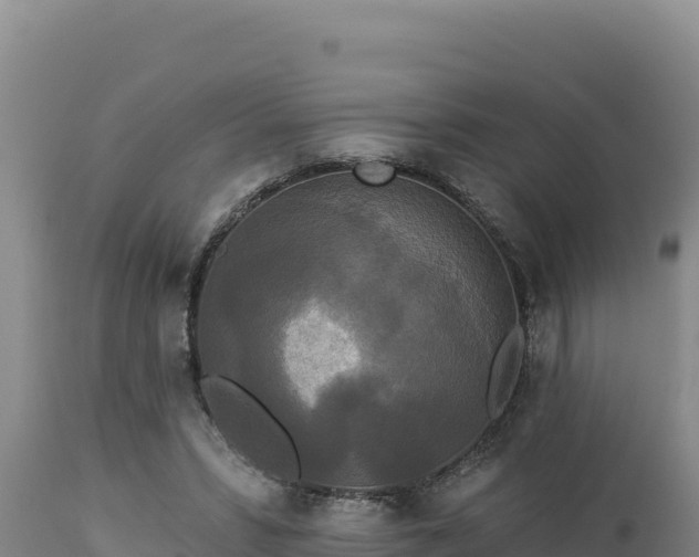 X0000112820399200908281535