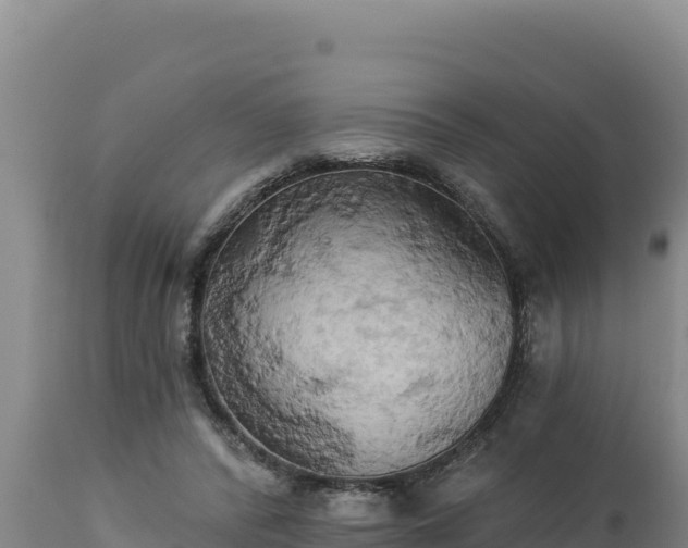 X0000112820400200908281535