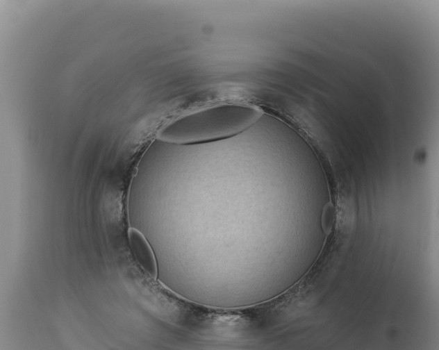 X0000112820401200908281535