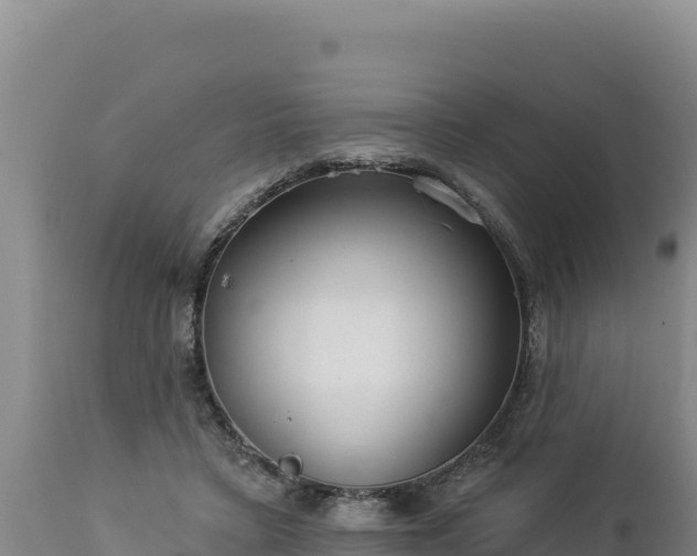 X0000112820403200908281535