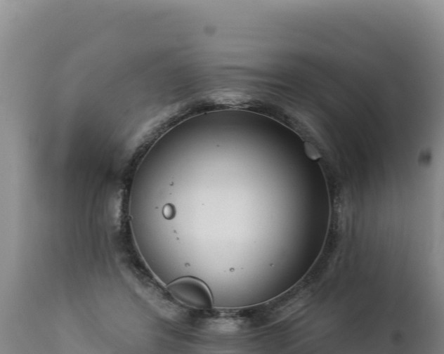 X0000112820404200908281535