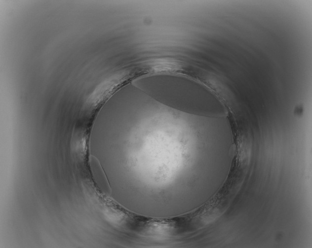 X0000112820405200908281535