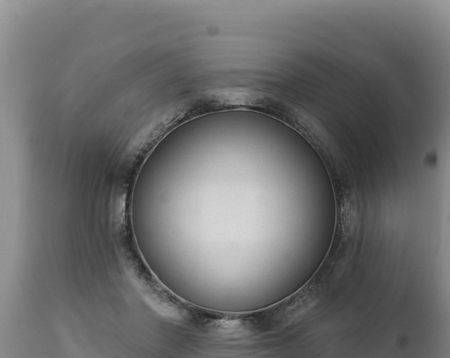 X0000112820406200908281535