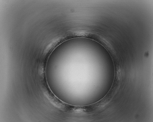 X0000112820407200908281535