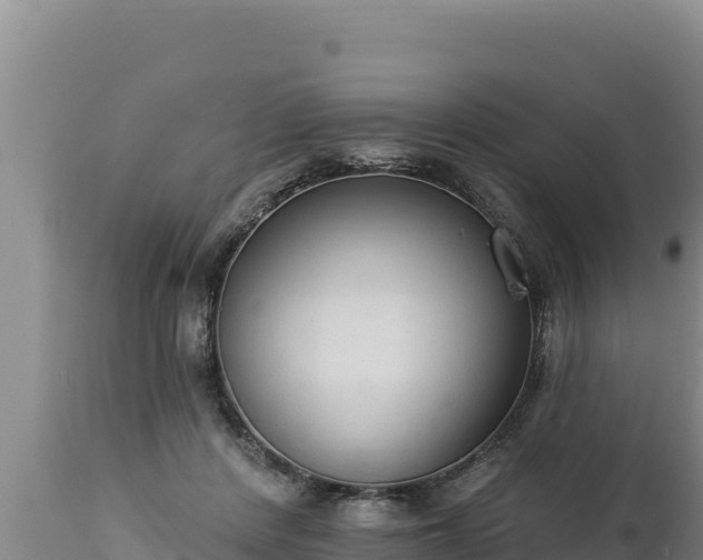 X0000112820408200908281535