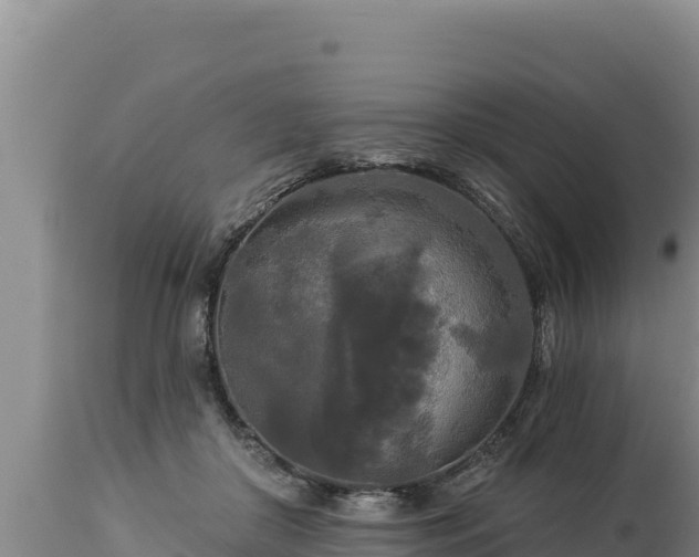 X0000112820410200908281535