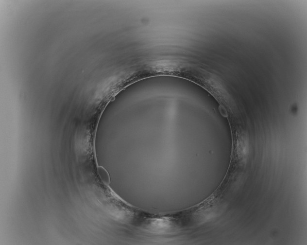 X0000112820411200908281535