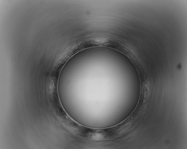 X0000112820412200908281535