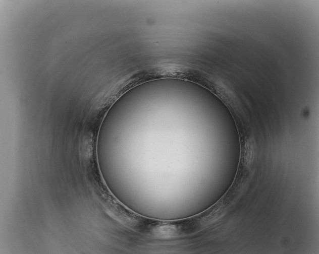 X0000112820413200908281535