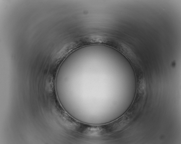 X0000112820414200908281535