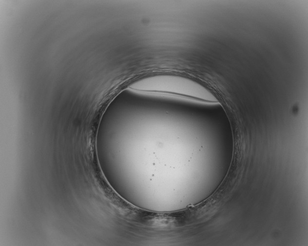 X0000112820415200908281535