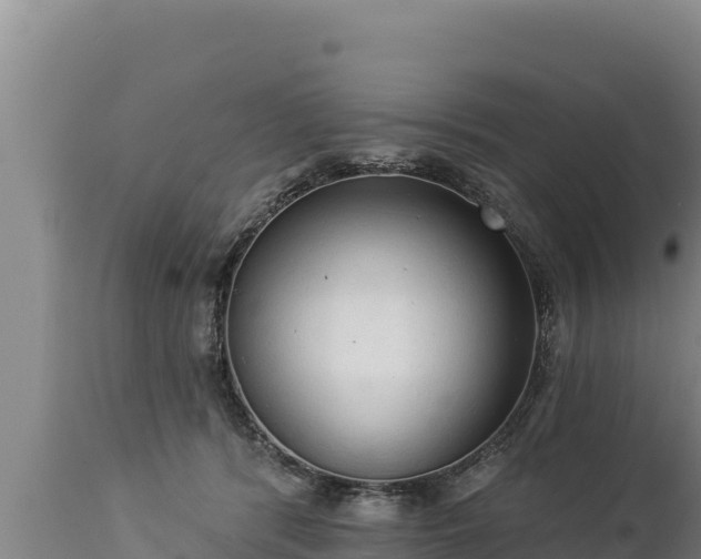 X0000112820416200908281535