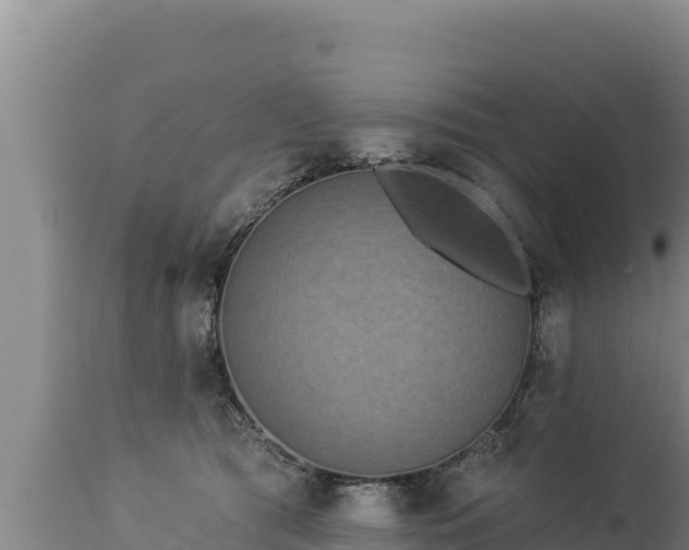 X0000112820417200908281535