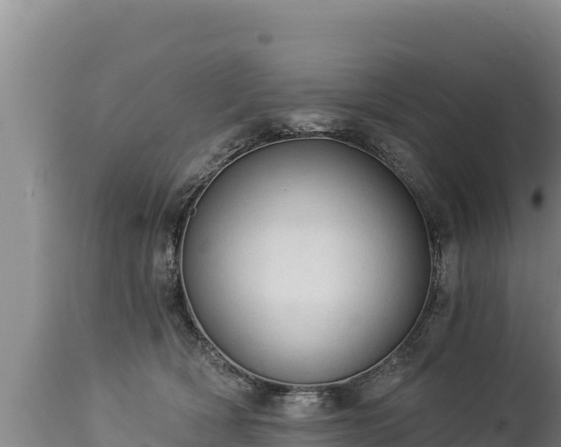 X0000112820418200908281535