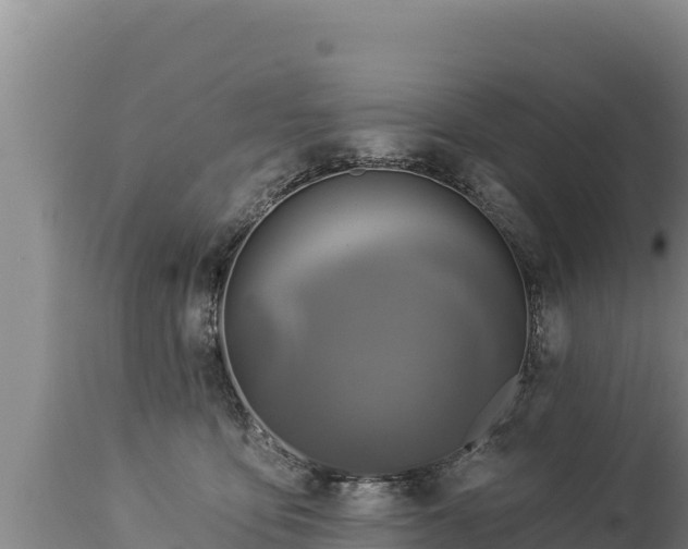 X0000112820419200908281535