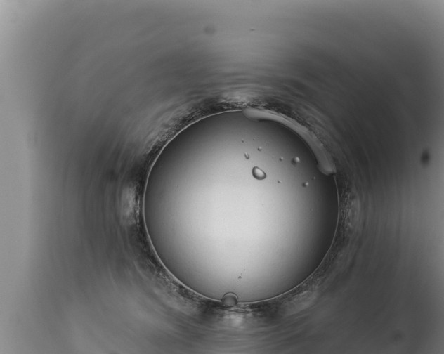 X0000112820420200908281535