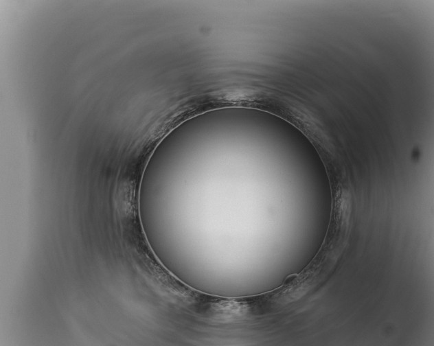 X0000112820421200908281535