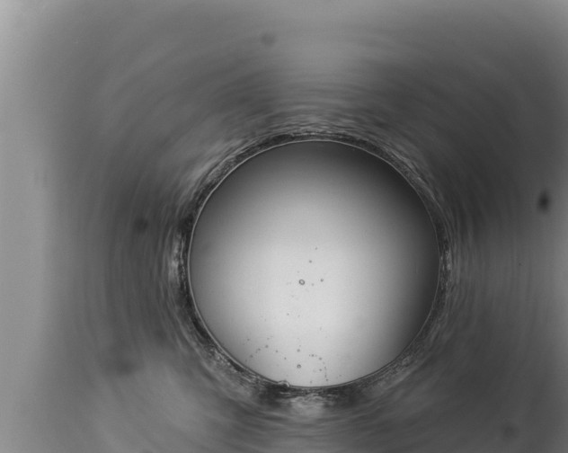 X0000112820423200908281535