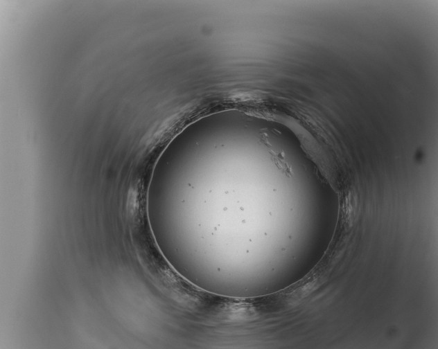 X0000112820424200908281535