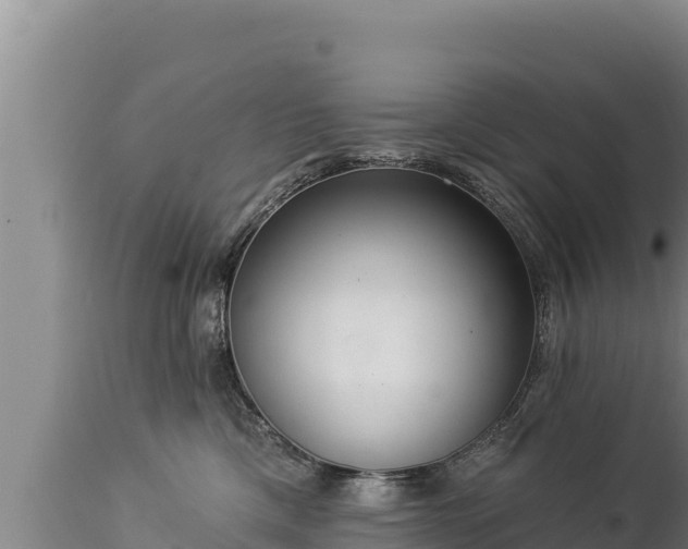 X0000112820425200908281535