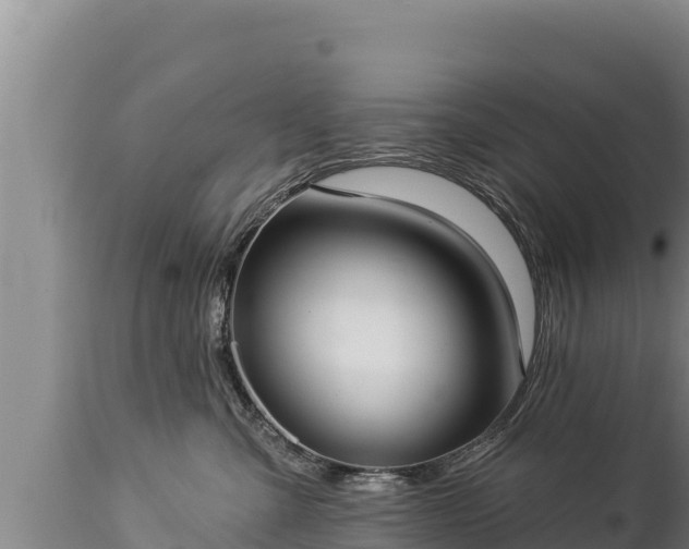 X0000112820427200908281535