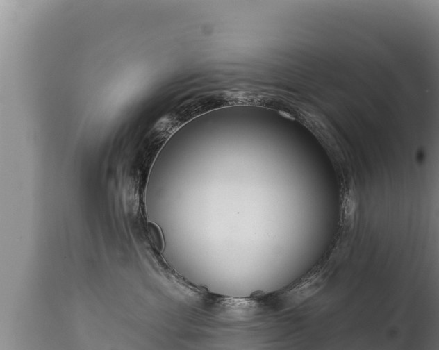 X0000112820429200908281535