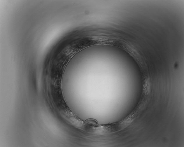 X0000112820430200908281535