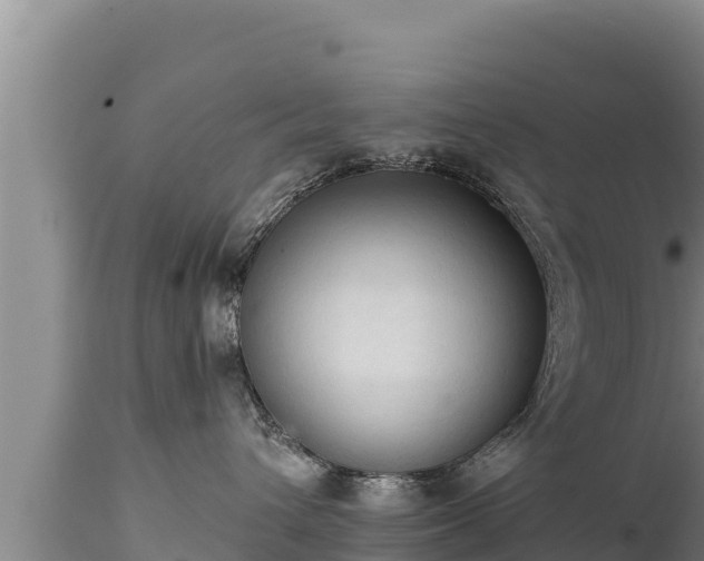 X0000112820432200908281535