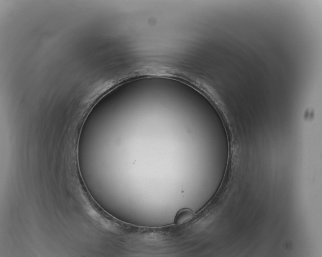 X0000112820433200908281534