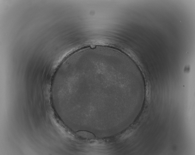 X0000112820434200908281534