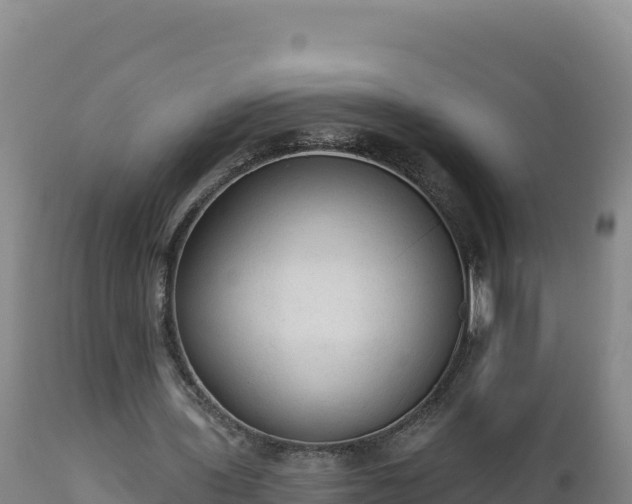 X0000112820435200908281534