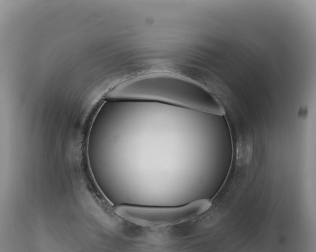 X0000112820436200908281534