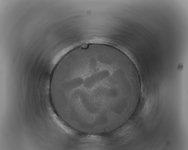 X0000112820437200908281534