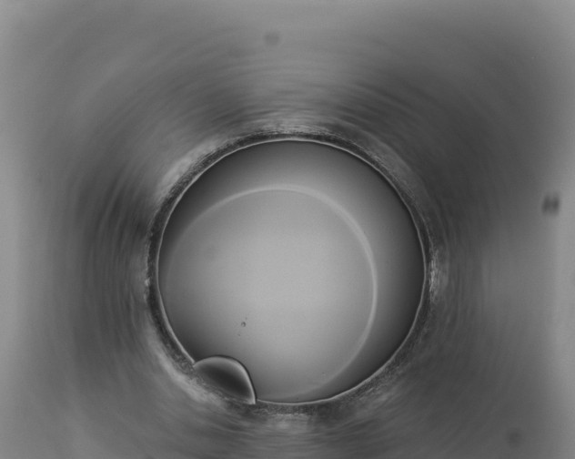 X0000112820438200908281534