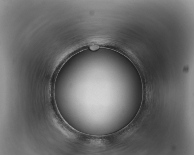 X0000112820439200908281534