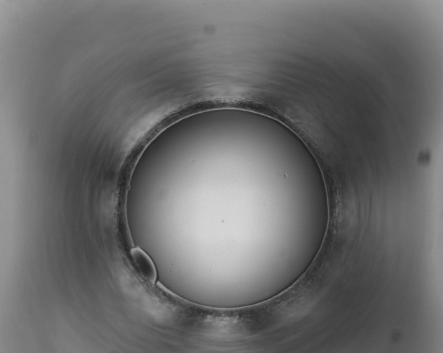 X0000112820440200908281534