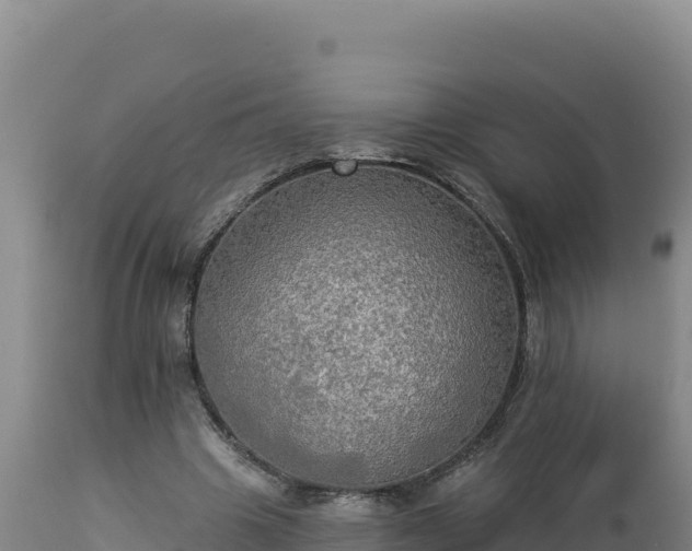 X0000112820441200908281534