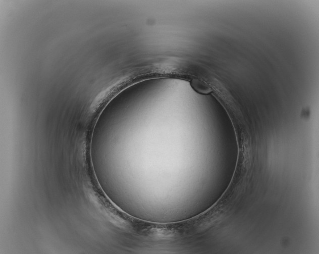 X0000112820442200908281534