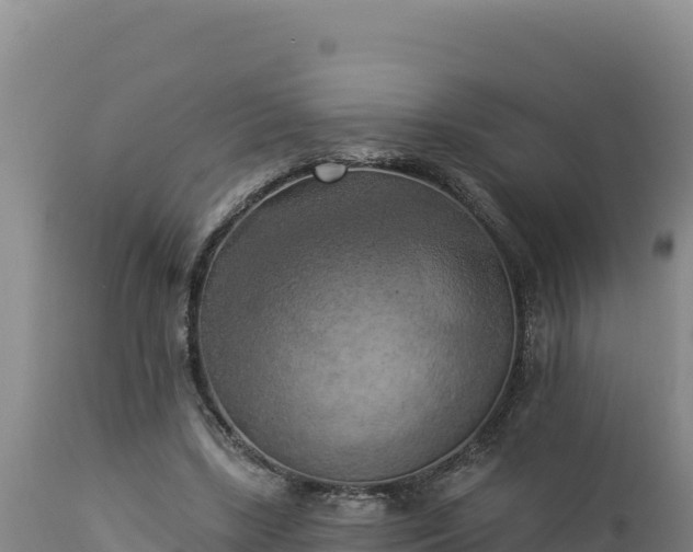 X0000112820443200908281534