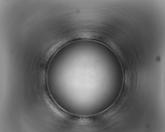 X0000112820445200908281534