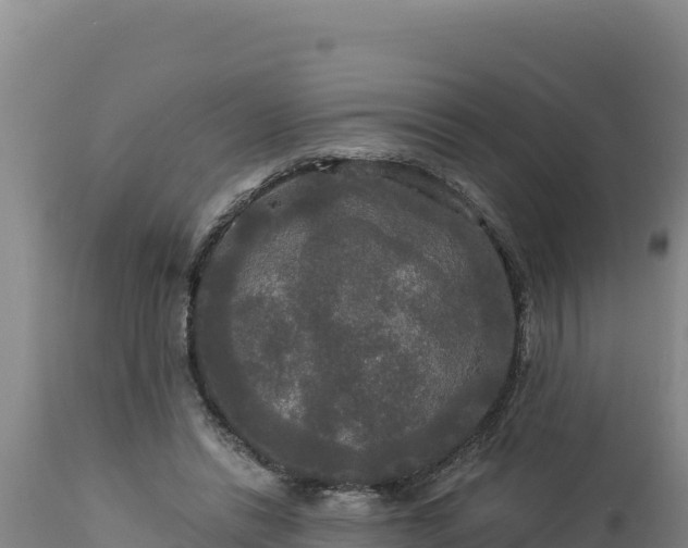 X0000112820446200908281534