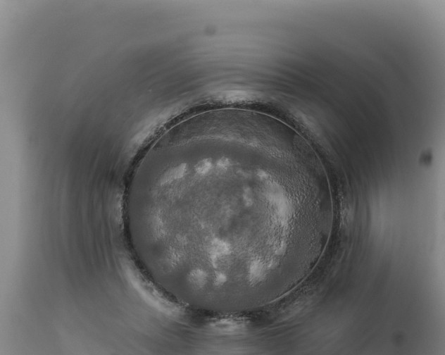 X0000112820447200908281534