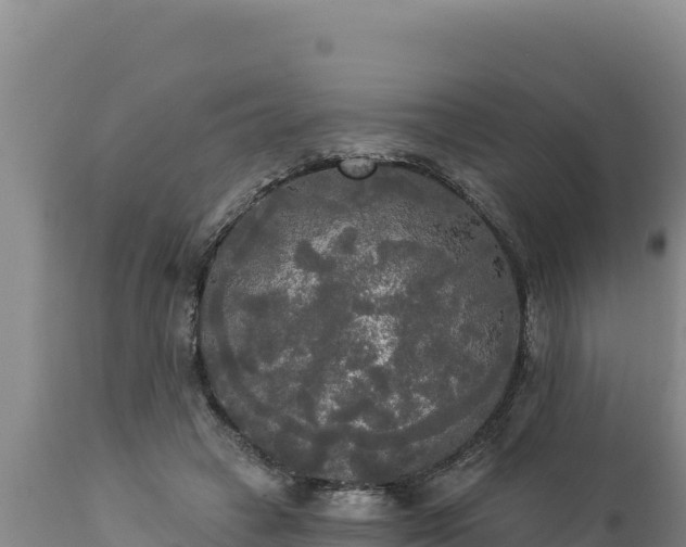 X0000112820449200908281534