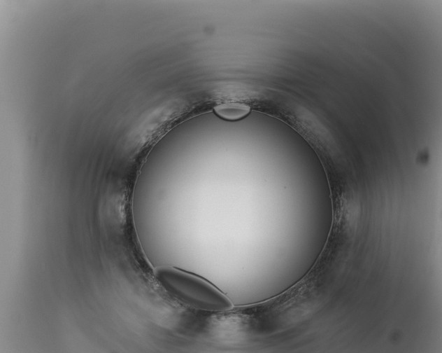 X0000112820452200908281535