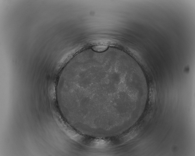 X0000112820453200908281535