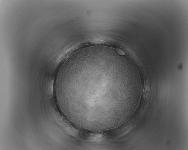 X0000112820454200908281535