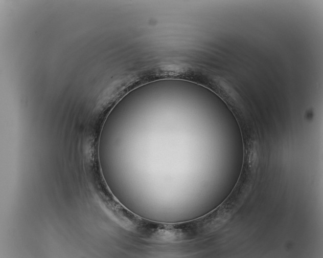 X0000112820455200908281535